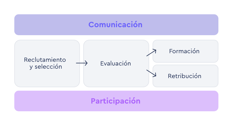 ciclo vida gestion talento